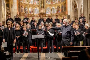 Photo credit: Marianne Swienink-Havard