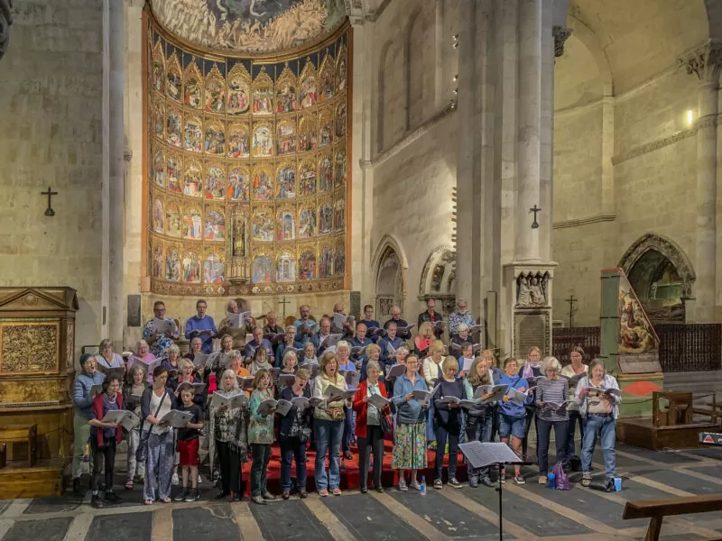 Photo credit: Marianne Swienink-Havard